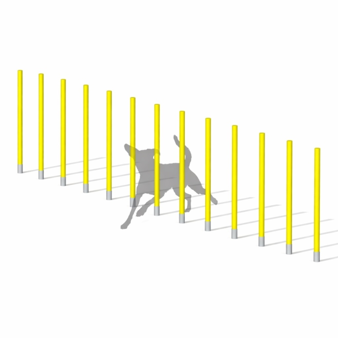 AGILITY szlalom pálya 12es