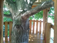 Fa köré épített dupla tornyú játszó birodalom