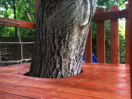 GIGA  bástya 2 x 2 m mászó fallal  fa köré építve 4 hintával