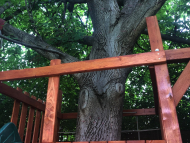 GIGA  bástya 2 x 2 m mászó fallal  fa köré építve 4 hintával